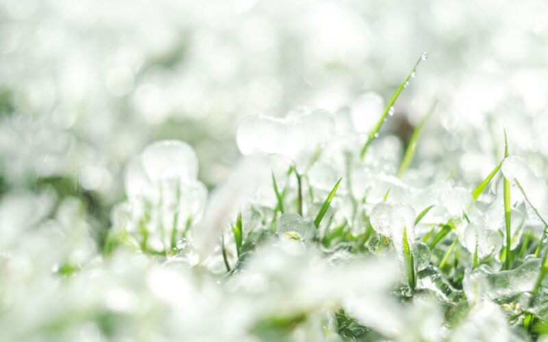 Tempestades com granizo podem impactar pastagens; descubra as áreas em risco e como se preparar melhor