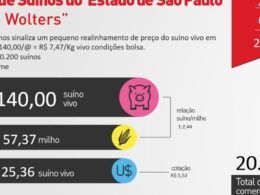 tendencias de exportacao de suinos precos em realinhamento e oportunidades