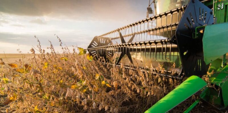 tensoes comerciais afetam soja milho e trigo descubra como a