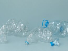 termotecnica amplia sua presenca na logistica reversa do plastico com