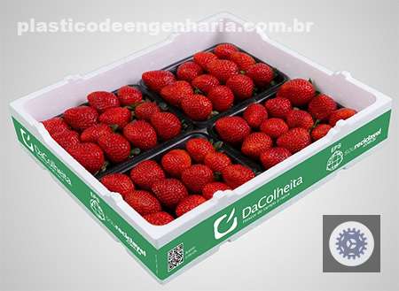 termotecnica lanca novas embalagens dacolheita para morangos de qualidade premium