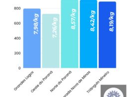 Tilápia: Entenda a Queda dos Preços e o Impacto nas Exportações em Junho para Consumidores e Produtores 16 Tilápia: Entenda a Queda dos Preços e o Impacto nas Exportações em Junho para Consumidores e Produtores