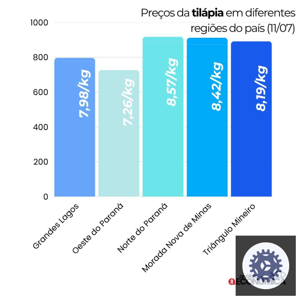 tilapia entenda a queda dos precos e o impacto nas