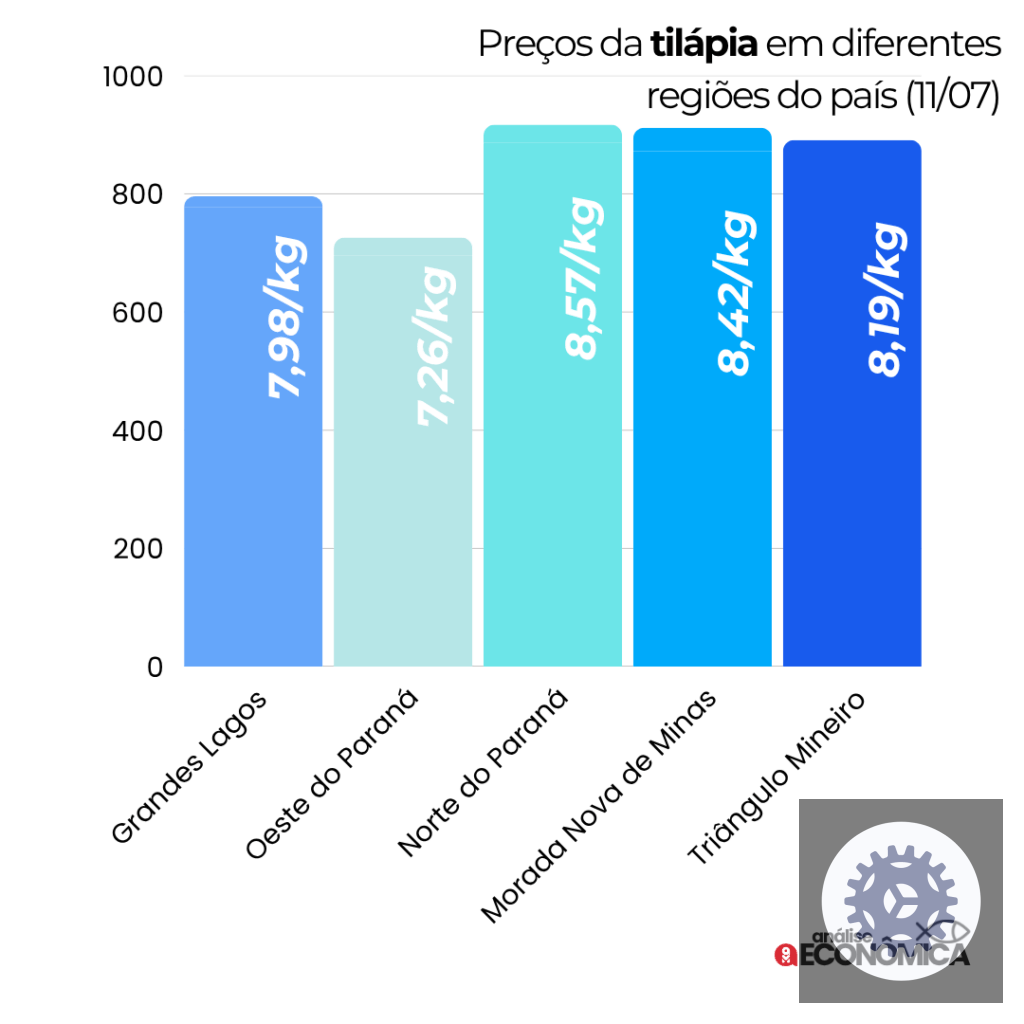Cotações da Tilápia por Região