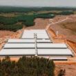 topigs norsvin inaugura nucleo genetico inovare em lages sc