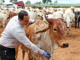 Antiparasitários tradicionais e pioneiros do mercado brasileiro ganham cara nova