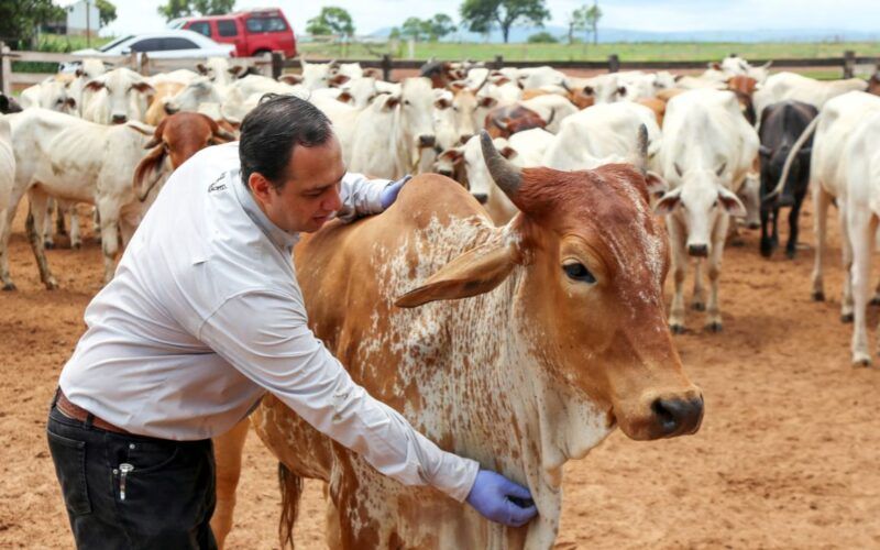 Antiparasitários tradicionais e pioneiros do mercado brasileiro ganham cara nova