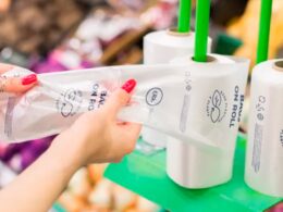 transformacao verde startups de plasticos sustentaveis atraem gigantes da industria