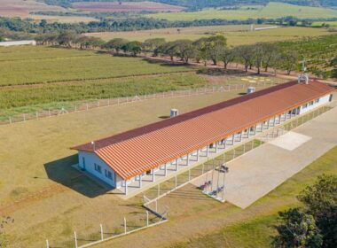 transforme seu futuro inscreva se gratuitamente no curso tecnico em agropecuaria