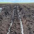Pó de rocha: descubra como o fertilizante é uma alternativa viável para pastos e lavouras