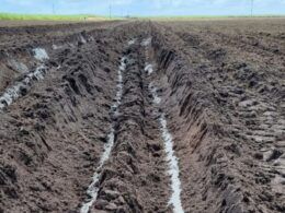 Pó de rocha: descubra como o fertilizante é uma alternativa viável para pastos e lavouras