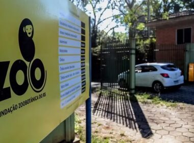 Transparência e Segurança: Estado do RS revela documentos sobre Influenza Aviária no Zoológico em prazo legal.