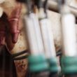 Vaca leiteira está com tetos feridos e rachados. Saiba como tratar o caso