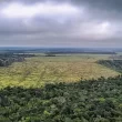 UE classifica Brasil como país de risco padrão por desmatamento.