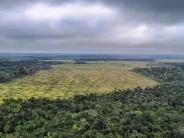 UE classifica Brasil como país de risco padrão por desmatamento.