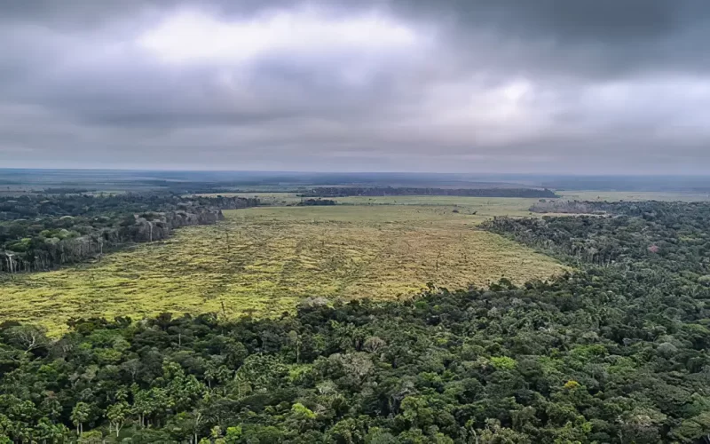 UE classifica Brasil como país de risco padrão por desmatamento.