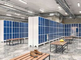 Plástico PEAD: A Escolha para Armários que Suportam Temperaturas Extremas