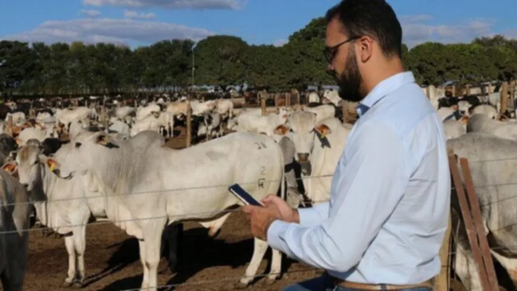 Pecuária com tecnologia
