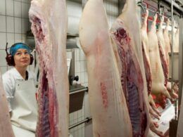 vem ai crescimento de 23 na producao de carne suina