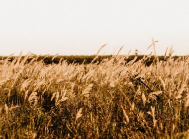 Veranico traz temperaturas altos e dias ensolarados no Centro-Oeste e Sudeste, ideal para aproveitar o verão ao ar livre